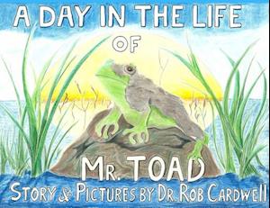 A Day in the Life of Mr. Toad