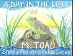 A Day in the Life of Mr. Toad