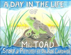 Day in the Life of Mr. Toad