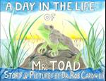 Day in the Life of Mr. Toad