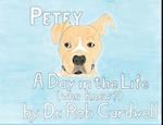 Petey: A Day in the Life 