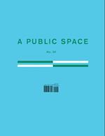 A Public Space No. 30