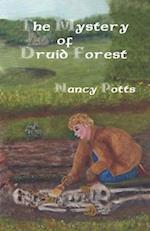 The Mystery of Druid Forest
