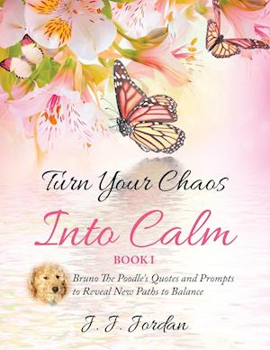 Turn Your Chaos Into Calm