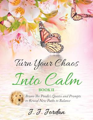 Turn Your Chaos Into Calm