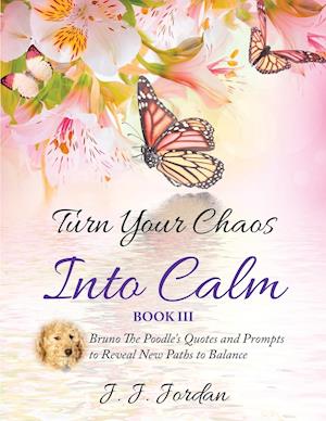 Turn Your Chaos Into Calm