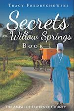 Secrets of Willow Springs - Book 1