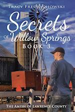 Secrets of Willow Springs - Book 3 