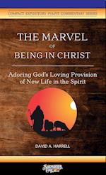 The Marvel of Being in Christ: Adoring God's Loving Provision of New Life in the Spirit 