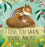 I Love You When You're Angry 