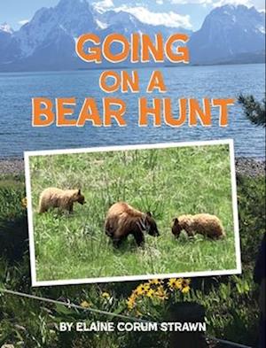 Going on a Bear Hunt