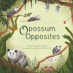 Opossum Opposites 