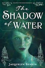 The Shadow of Water 