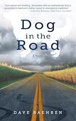 Dog in the Road
