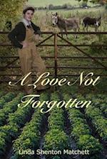 A Love Not Forgotten: A Second Chance Romance 