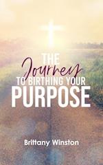 The Journey to Birthing Your Purpose: Biblical Principles to Living a Purpose-filled Life 