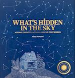 What's Hidden in the Sky?