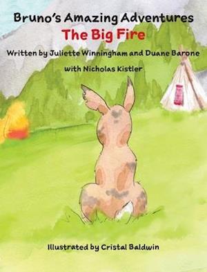 The Big Fire