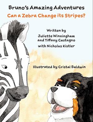 Can a Zebra Change its Stripes?