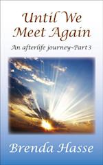 Until We Meet Again : An afterlife journey - Part 3
