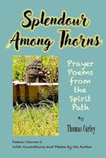 Splendour Among Thorns: Prayer Poems from the Spirit Path 