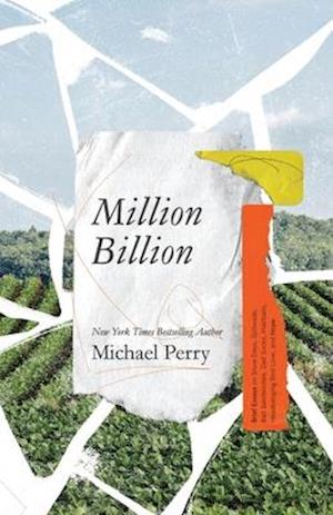 Million Billion: Brief Essays on Snow Days, Spitwads, Bad Sandwiches, Dad Socks, Hairballs, Headbanging Bird Love, and Hope.