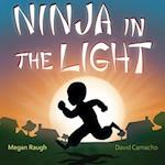 Ninja in the Light 