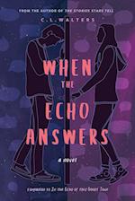 When the Echo Answers: A Companion to In the Echo of this Ghost Town 