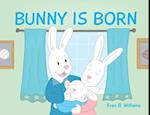 Bunny Is Born 