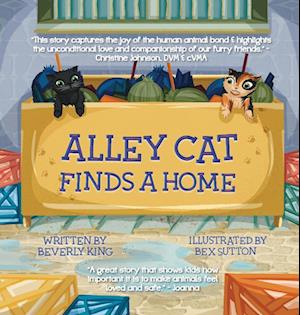 Alley Cat Finds A Home