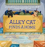 Alley Cat Finds A Home 