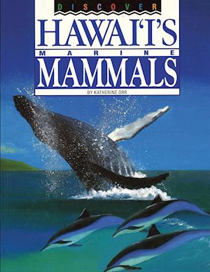 Discover Hawai'i's Marine Mammals