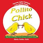 Pollito - Chick