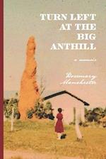 Turn Left at the Big Anthill: a memoir 