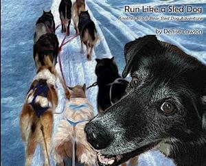 Run Like a Sled Dog: Another Black Bear Sled Dog Adventure