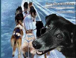 Run Like a Sled Dog: Another Black Bear Sled Dog Adventure