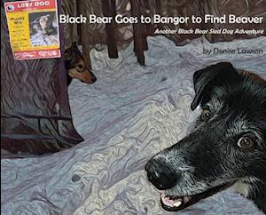 Black Bear Goes to Bangor to Find Beaver