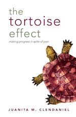 The Tortoise Effect