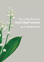 The Little Book of God's Big Promises 