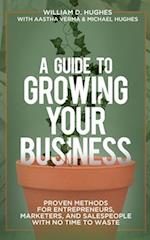 Guide to Growing Your Business