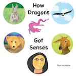 How Dragons Got Senses 