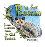 P is for Possum