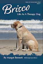 Brisco, Life As A Therapy Dog 
