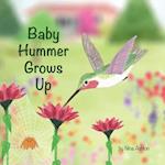 Baby Hummer Grows Up 