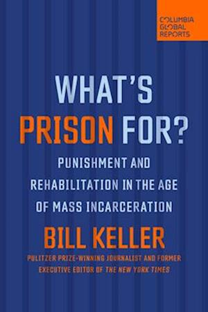 What's Prison For? : Punishment and Rehabilitation in the Age of Mass Incarceration