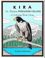 Kira, an Alaskan Peregrine Falcon