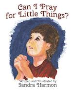 Can I Pray for Little Things? 