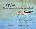 Ava: A Year of Adventure in the Life of an American Avocet 
