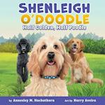 Shenleigh O'Doodle, Half Golden, Half Poodle 