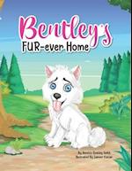 Bentley's Fur-ever Home 